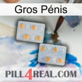 Gros Pénis 25